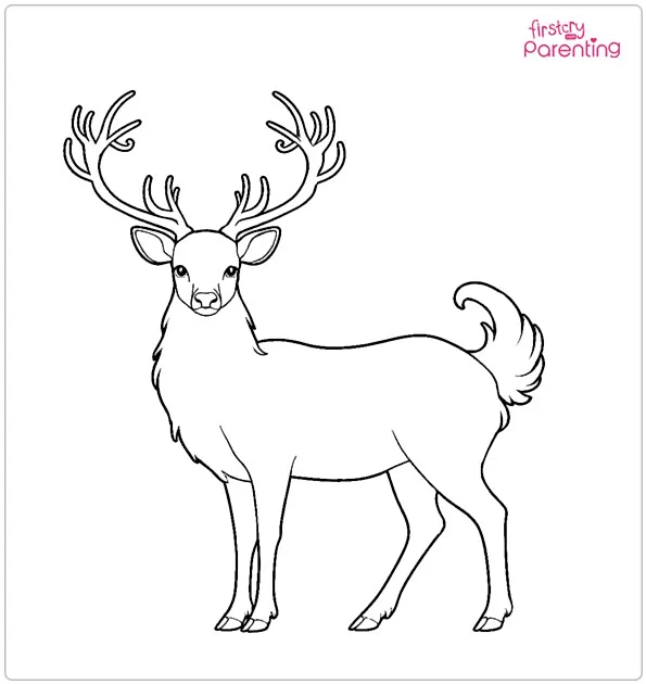 Realistic Deer Coloring Page