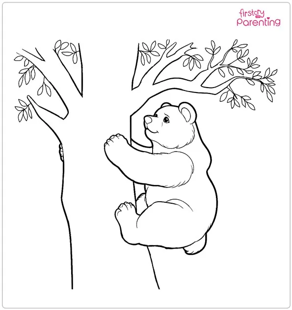 Bear Climbing Trees Coloring Page