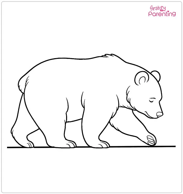 Bear Walking with Head Down Coloring Page