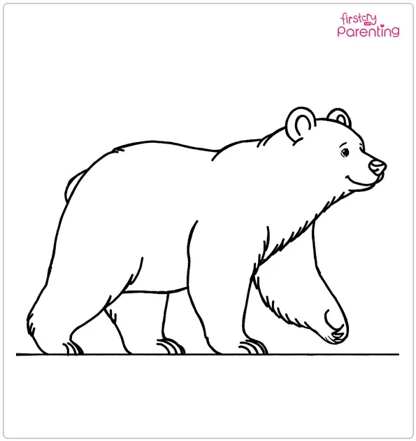 Brown Bear Coloring Page