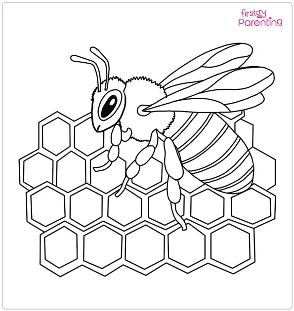 Bee Honeycomb Coloring Page