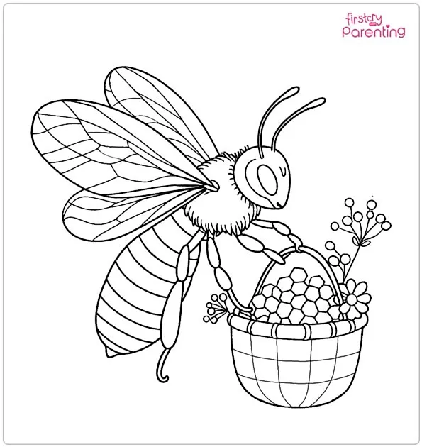 Bee with Pollen Baskets Coloring Page