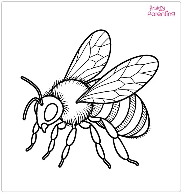 BumbleBee Coloring Page
