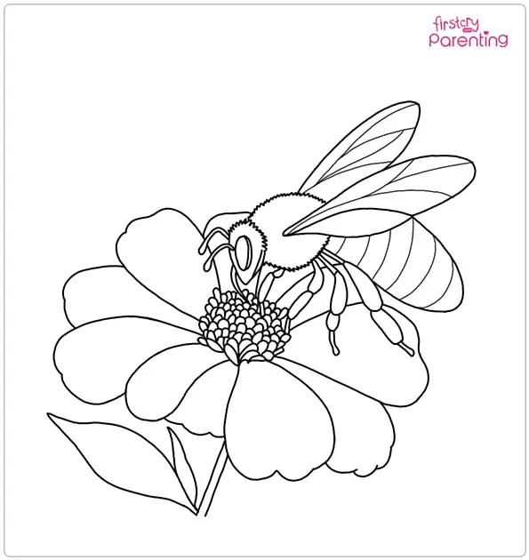 Bee on the Flower Coloring Page