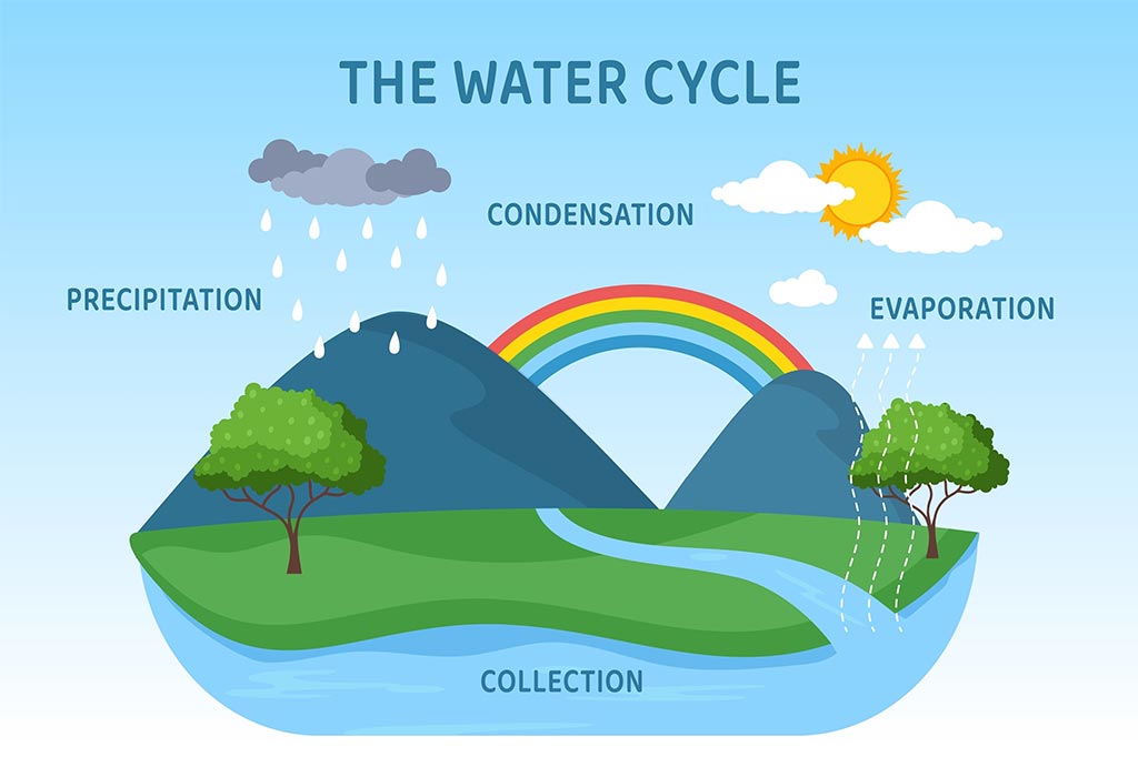 Water Cycle