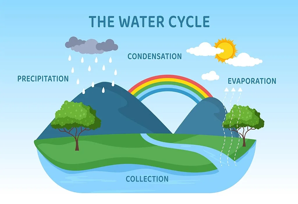 Water Cycle