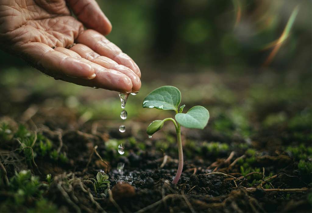 Facts About Water