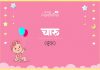 Charu Name Meaning in Hindi