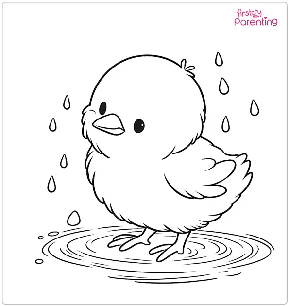 Rainy Day Chick in Puddle Coloring Page