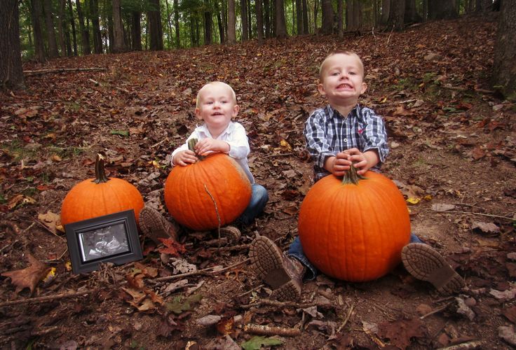 Sibling Pumpkin Line Up Fall Pregnancy Announcements