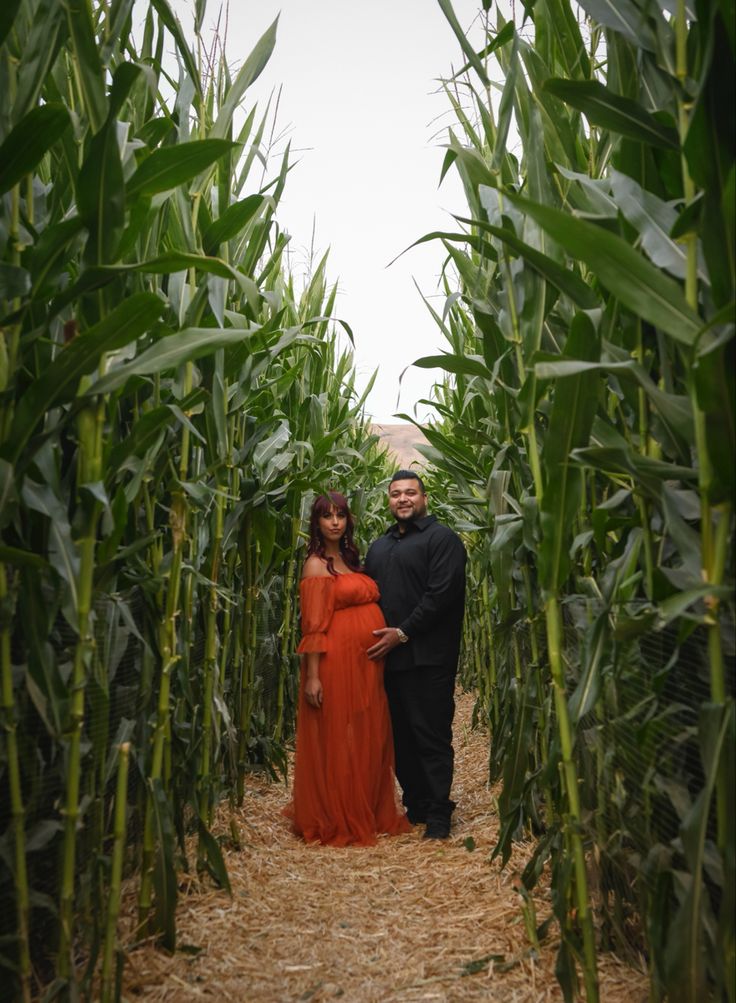 Corn Maze Photo Reveal baby Announcements