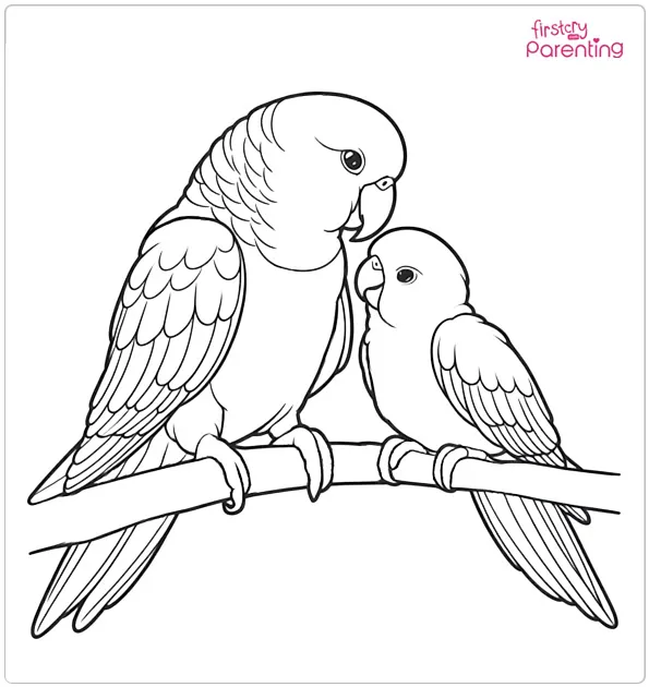 Adult & Baby Parrot Coloring Page