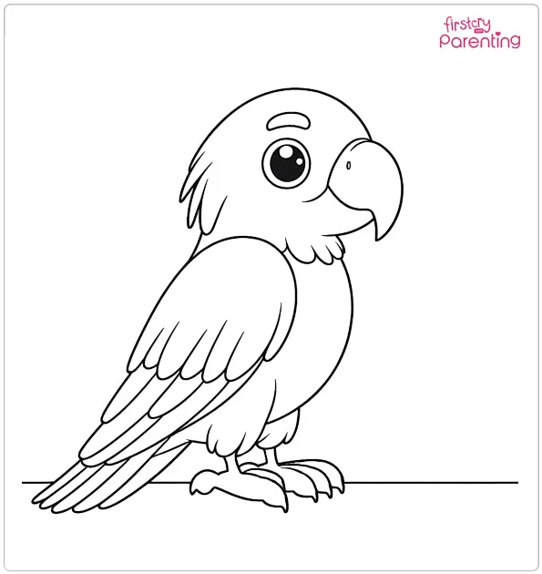 Cartoon Parrot Coloring Page