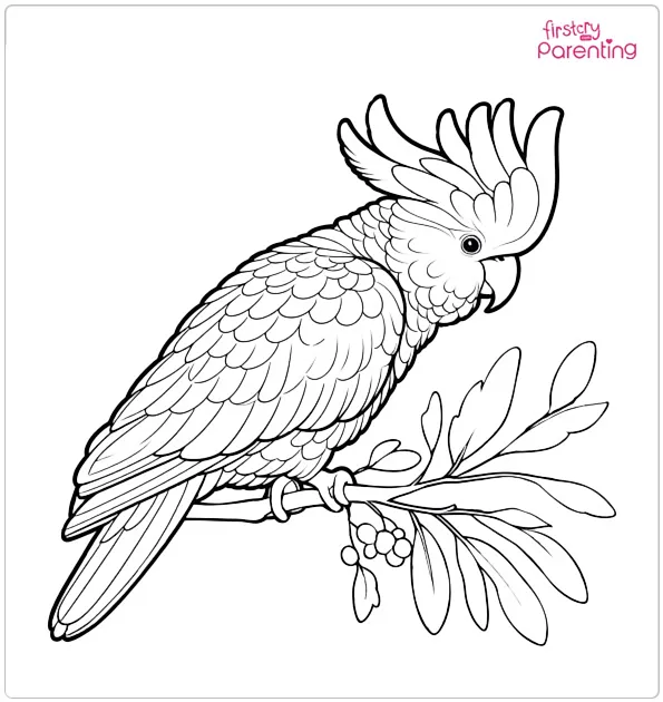 Cockatoo Parrot Coloring Page