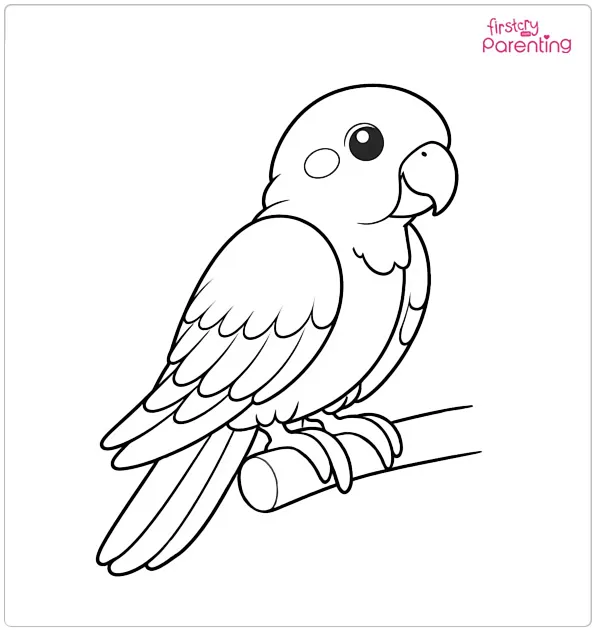 Easy Parrot Coloring Page