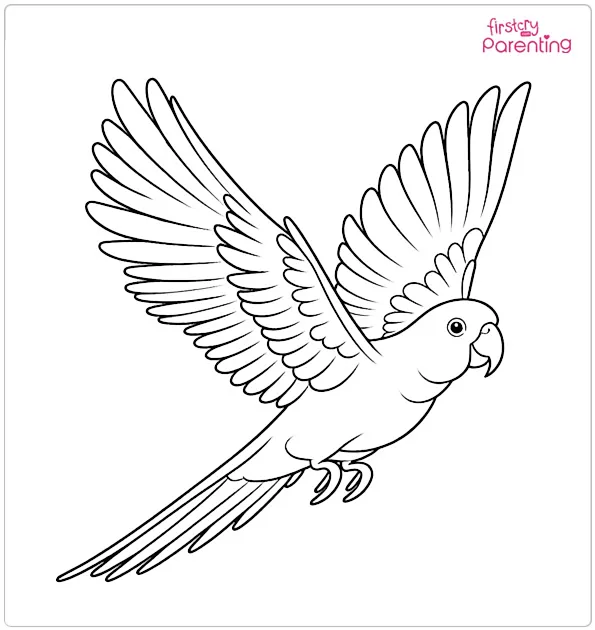 Flying Parrot Coloring Page