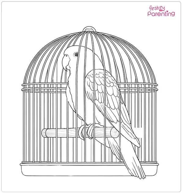Parrot in the Cage Coloring Page
