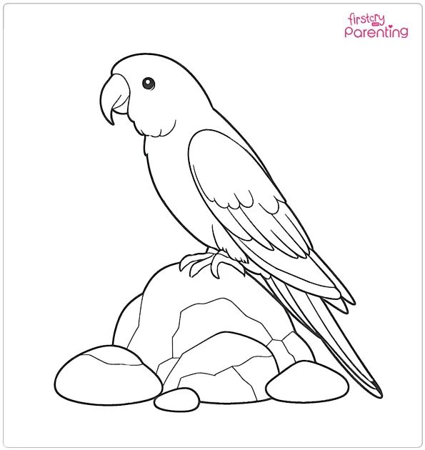 Parrot on Rock Coloring Page