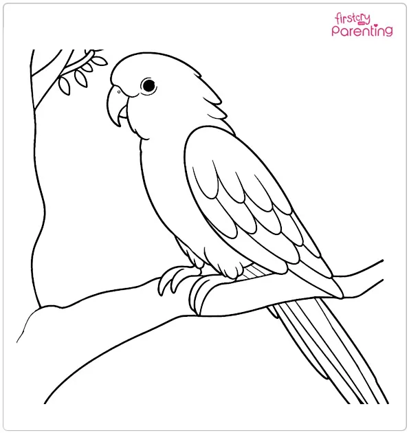 Parrot Sitting On a Branch Coloring Page