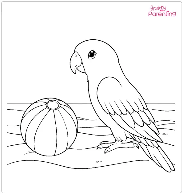 Parrot with Beach Ball Coloring Page