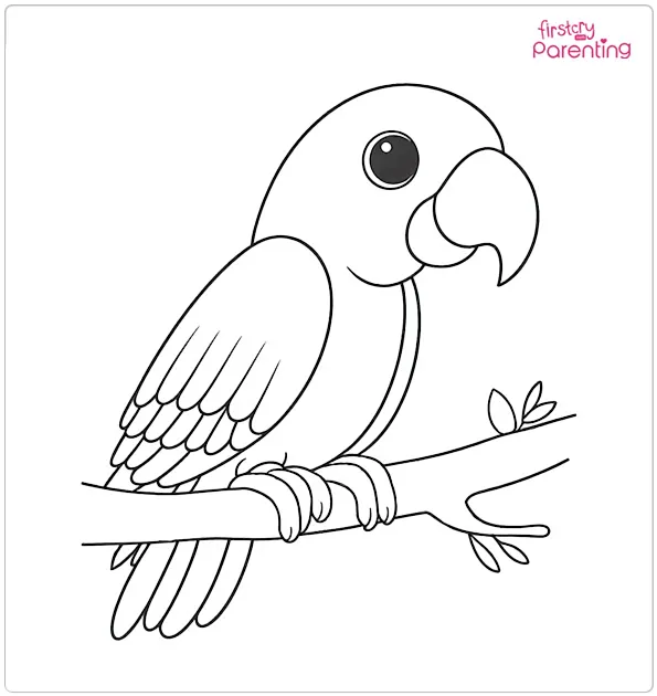 Parrot With Large Beak Coloring Page