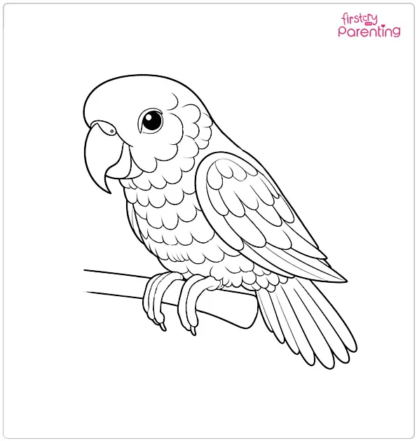 Realistic Parrot Coloring Page