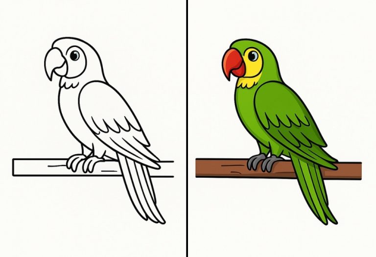 Parrot Coloring Pages – Free Printable Pages For Kids