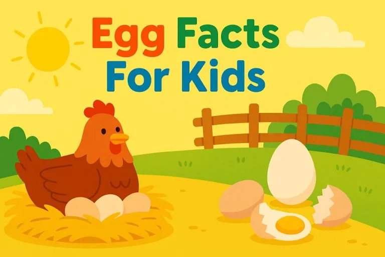 25 Interesting Egg Facts That Kids Should Know About