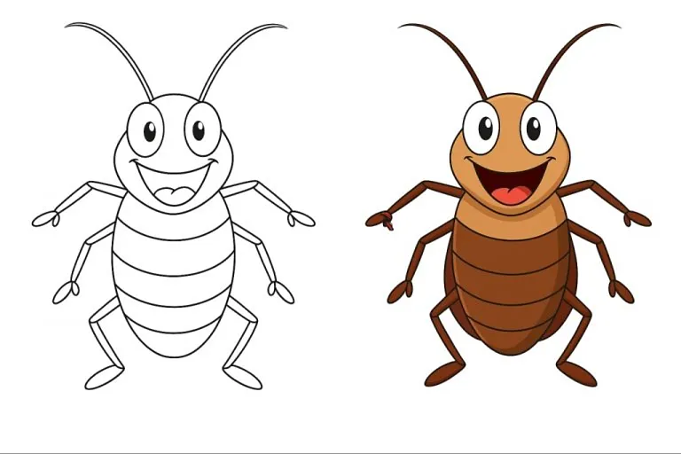 Insects Coloring Pages – Free Printable PDFs For Kids