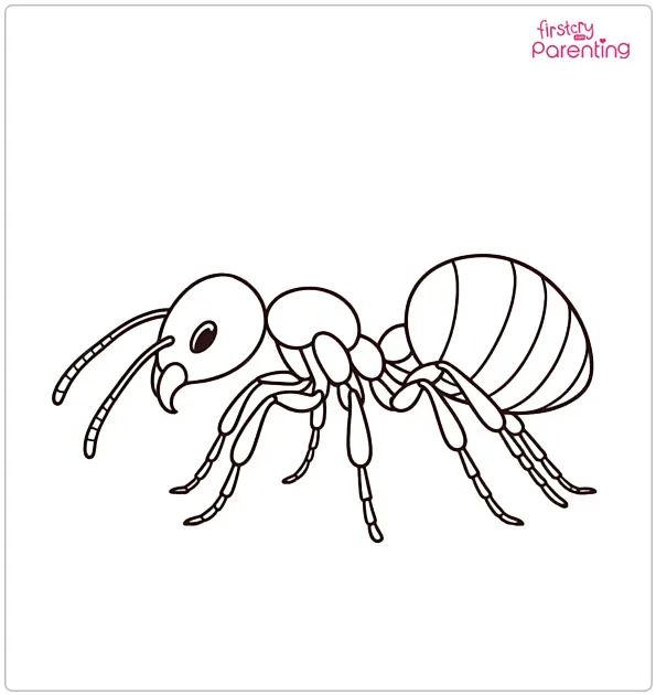 Ant Coloring Page