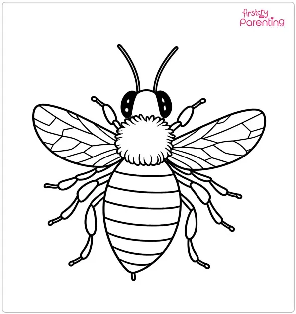 Bee Coloring Page