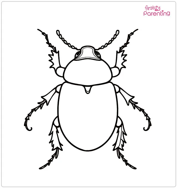 Beetle Coloring Page