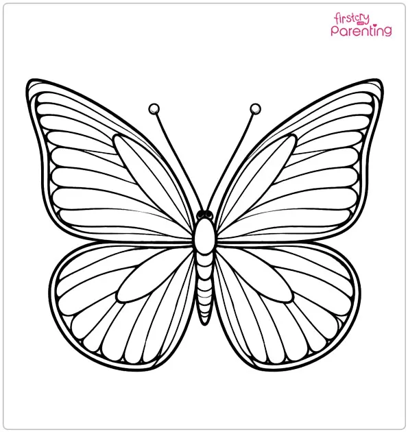Butterfly Coloring Page