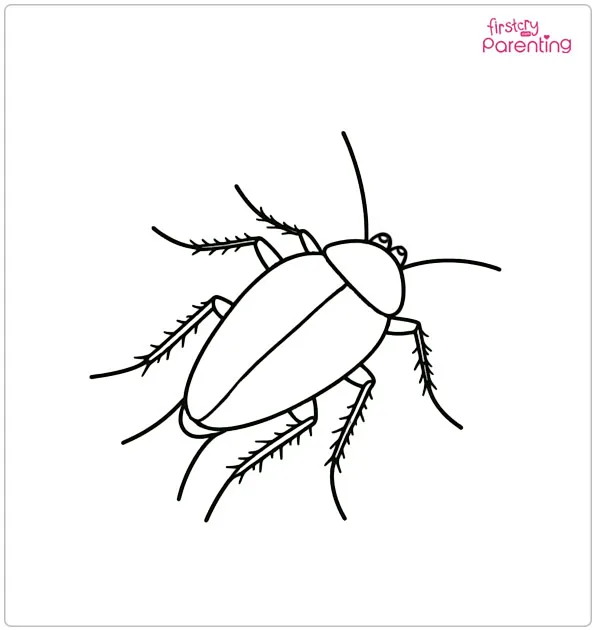 Cockroach Coloring Page