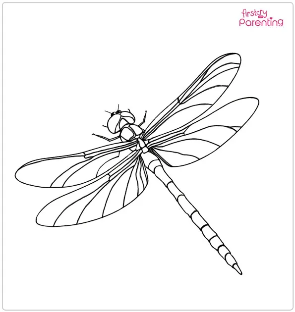 Dragonfly Coloring Page