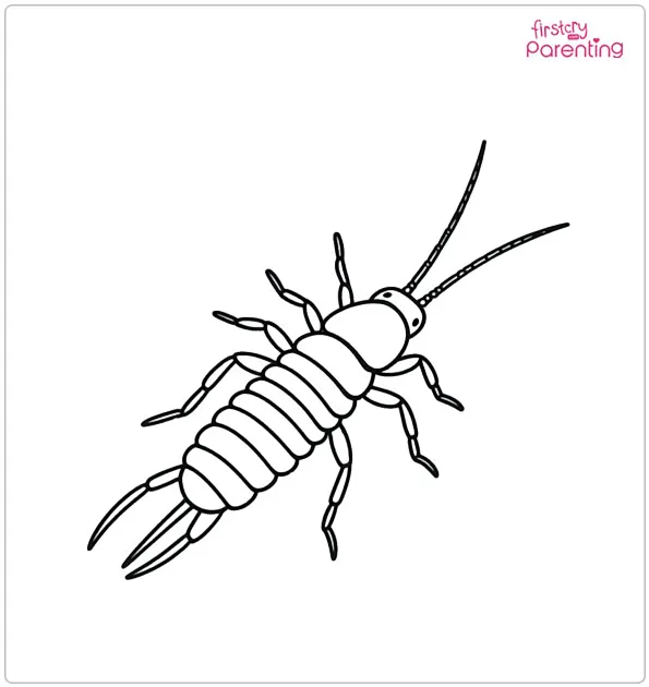 Earwig Coloring Page