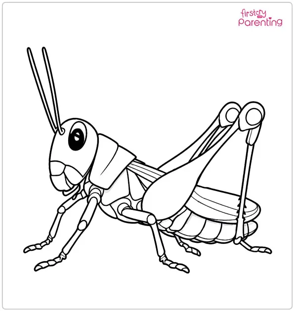Grasshopper Coloring Page