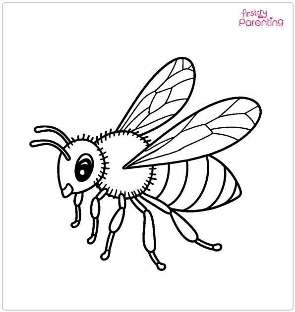 Honey Bee Coloring Page