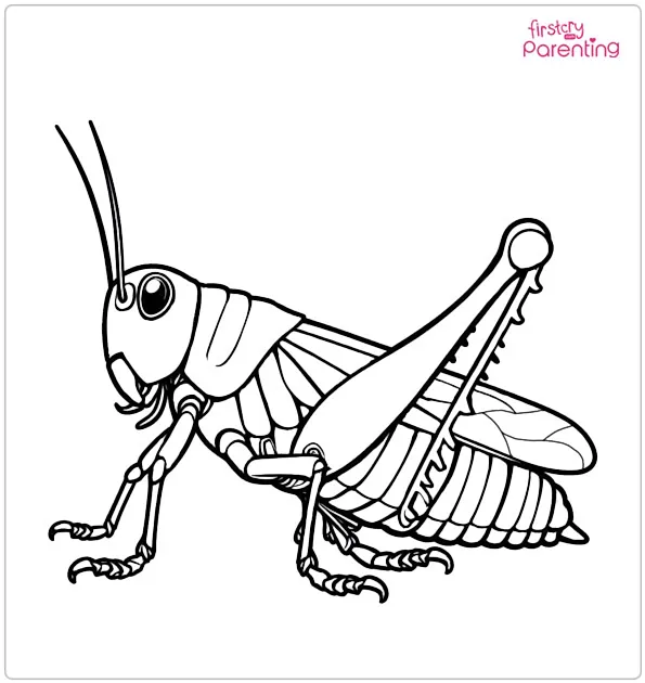 Locust Coloring Page