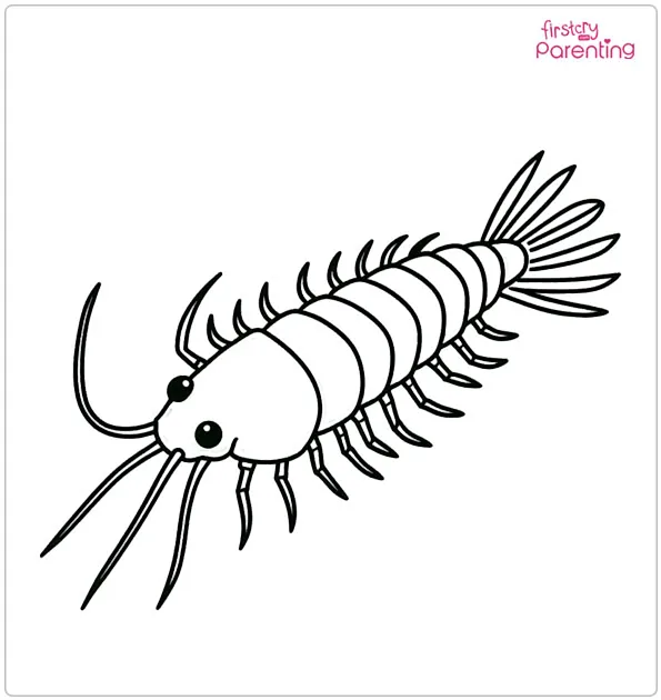 Silverfish Coloring Page