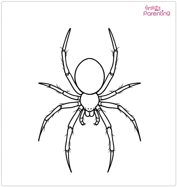 Spider Coloring Pages