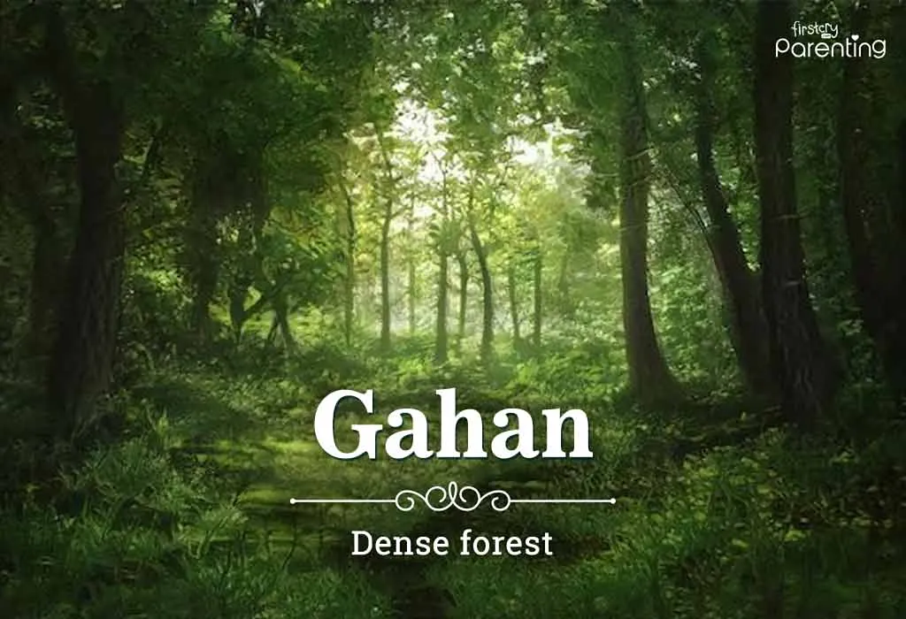 Gahan - Bengali Baby Boy Names With Meaning