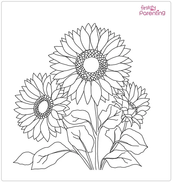 Simple Autumn Sunflowers Coloring Page