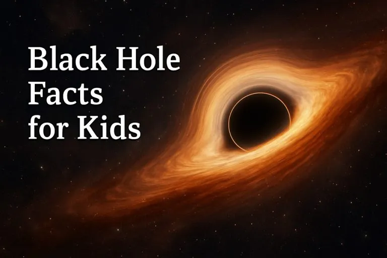 20+ Interesting Black Hole Facts for Kids