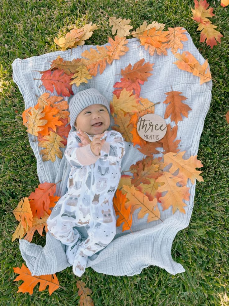 Fall photography autumn leaves