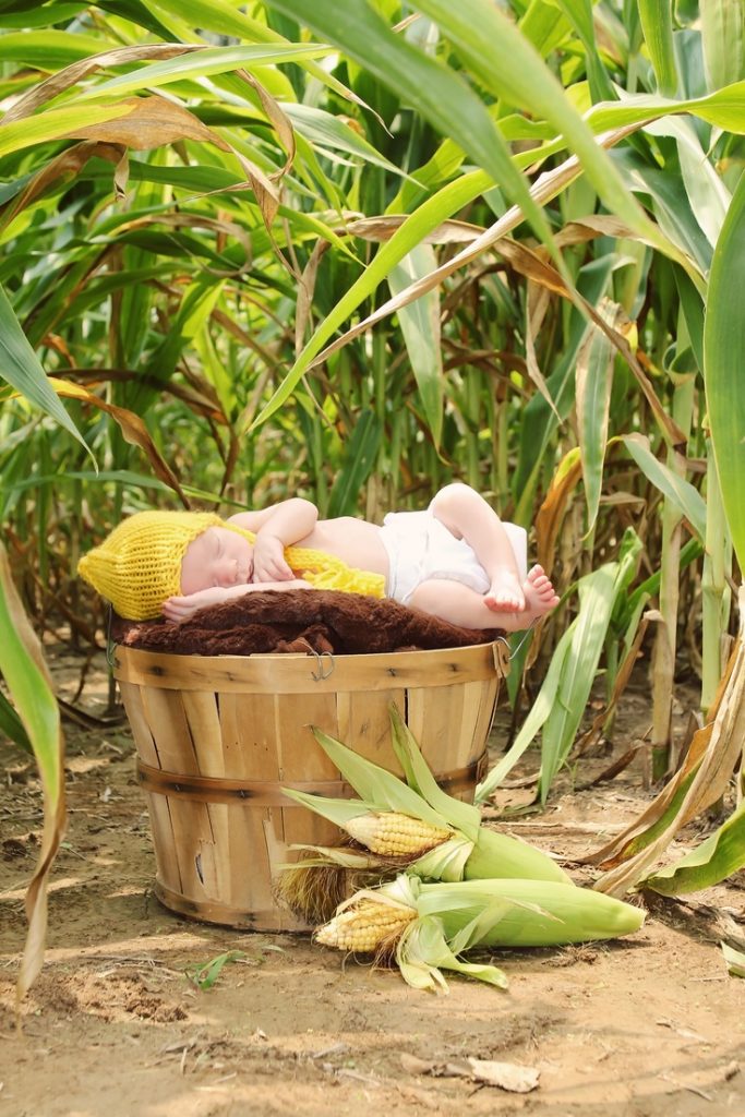 baby fall photoshoot ideas harvest corn