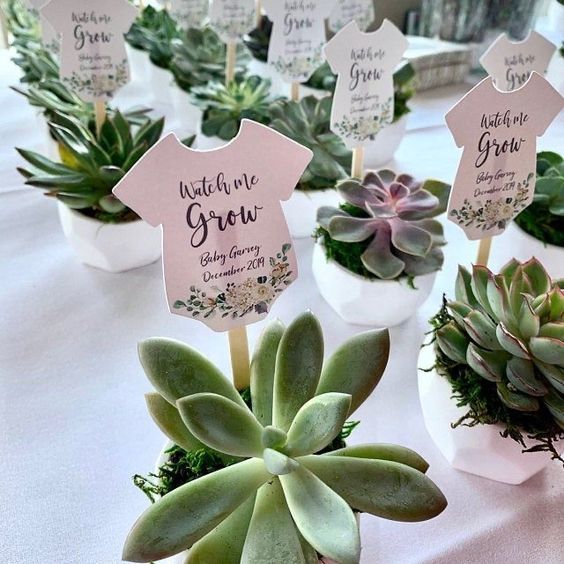 Garden Planting Celebration baby shower alternative