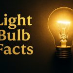20 Interesting Light Bulb Facts for Kids
