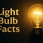 20 Interesting Light Bulb Facts for Kids