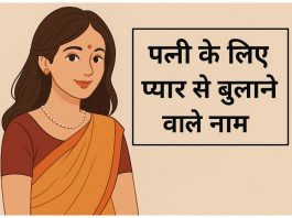 पत्नी के लिए प्यार से बुलाने वाले नाम l Nicknames For Wife In Hindi Nicknames For Wife In Hindi